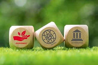 Würfel Environment Bild von drei Würfeln im Gras mit den ESG-Kriterien und Environment markiert