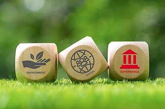 Würfel Governance Bild von drei Würfeln im Gras mit den ESG-Kriterien und Governance markiert