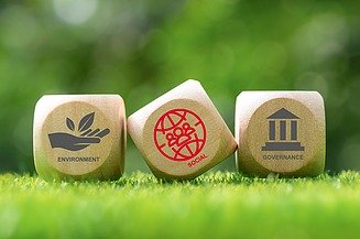Würfel Social Bild von drei Würfeln im Gras mit den ESG-Kriterien und Social markiert
