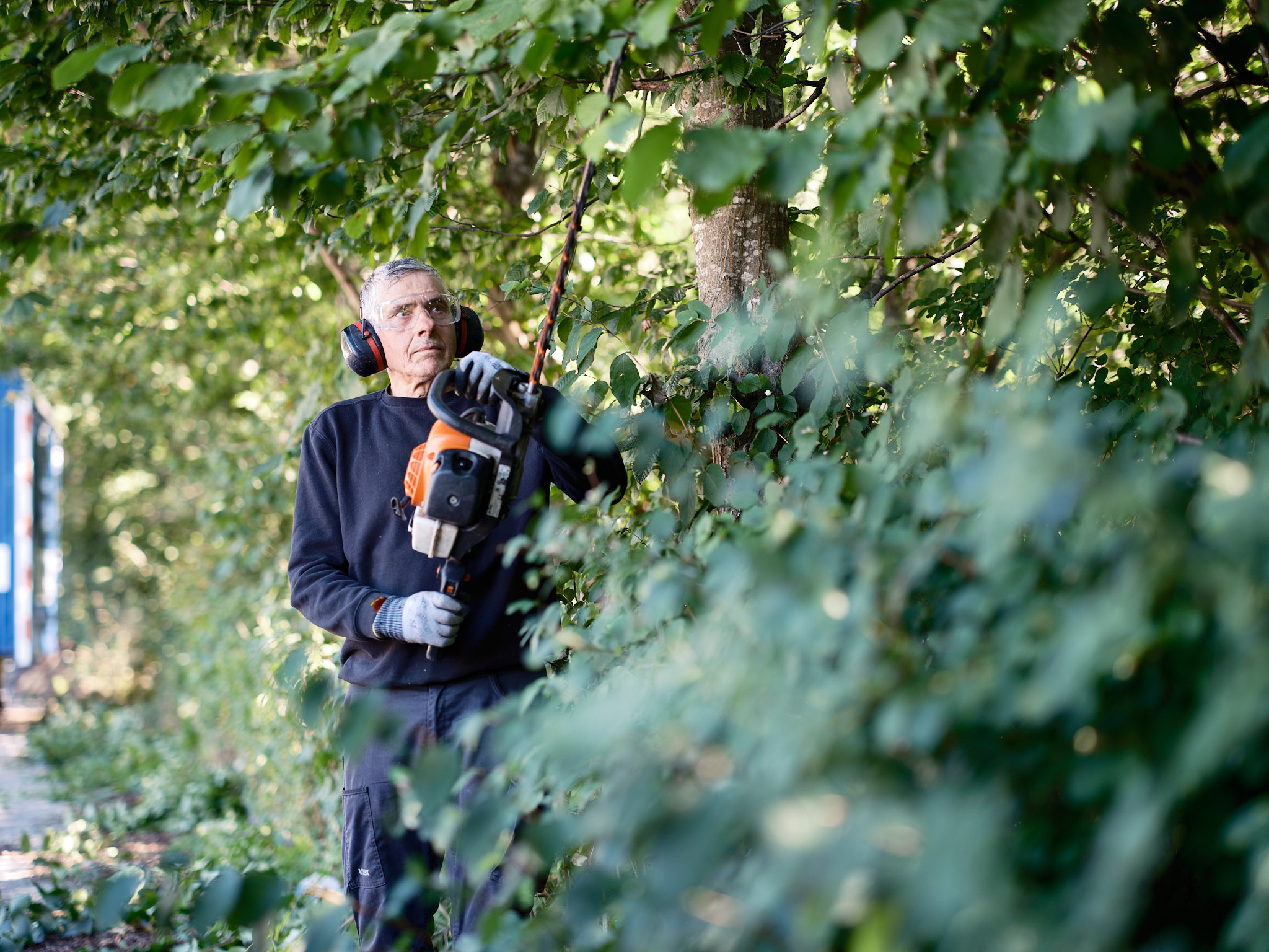 Bild von einem Mann, der mit einer Schere eine Hecke schneidet