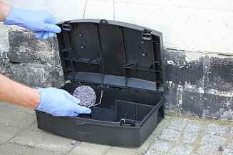 Picture of a pest trap in which a bait is placed