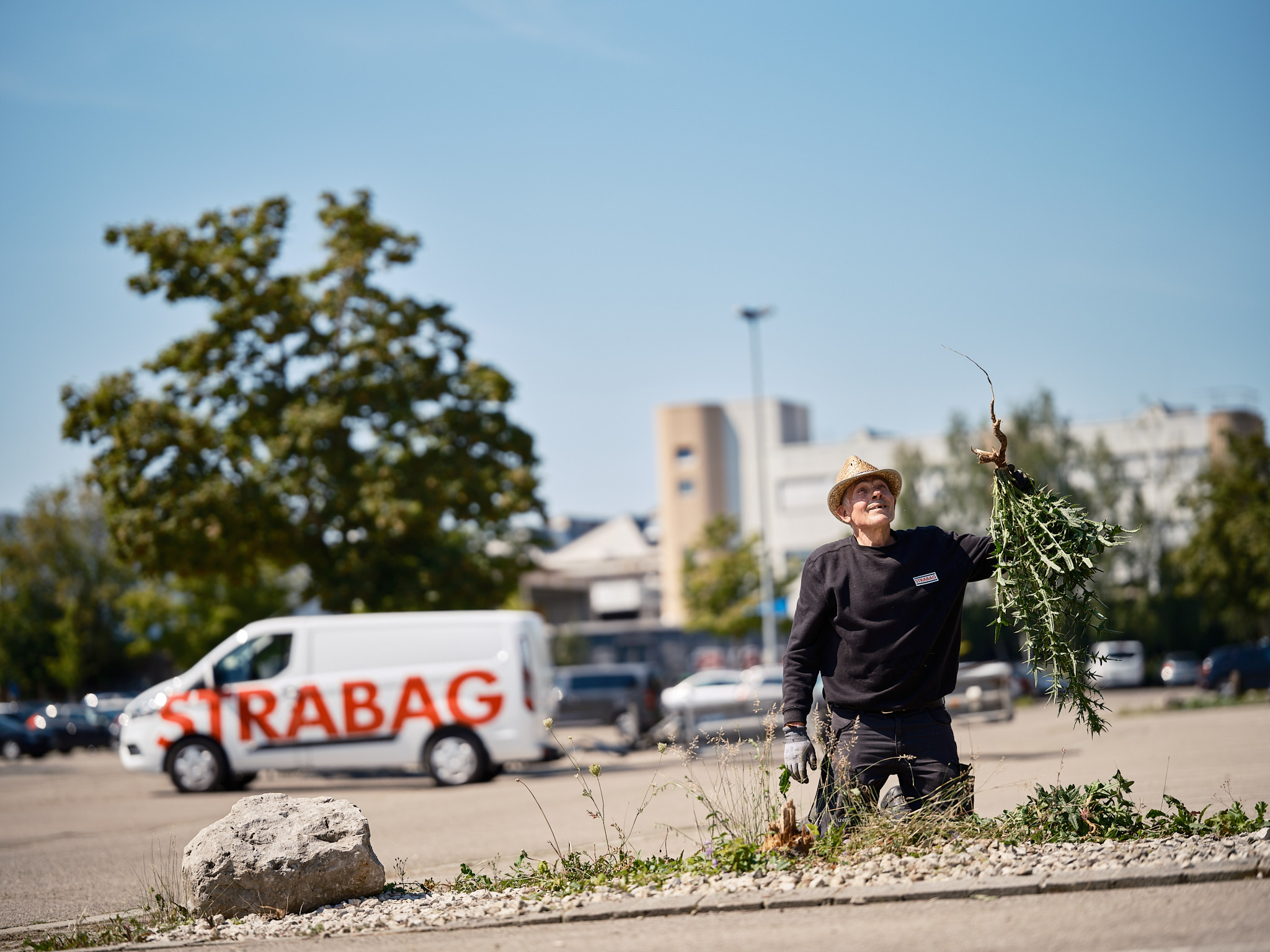 Picture of a man stretching a plant by a root into the sky