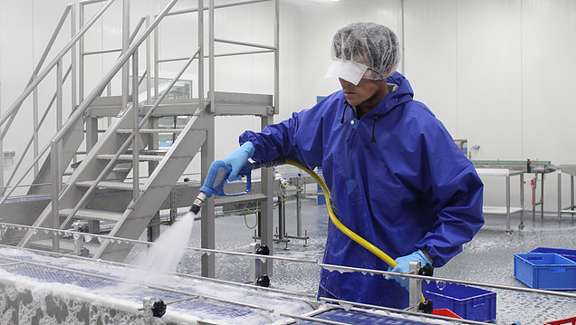 Picture of a person in protective clothing cleaning a conveyor belt