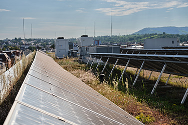 Solar panels on a green roof with a view of a cityscape and hills in the background in sunny weather.