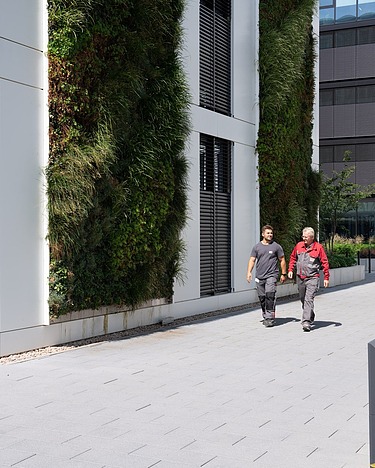 Photo of a green building façade and two people walking past